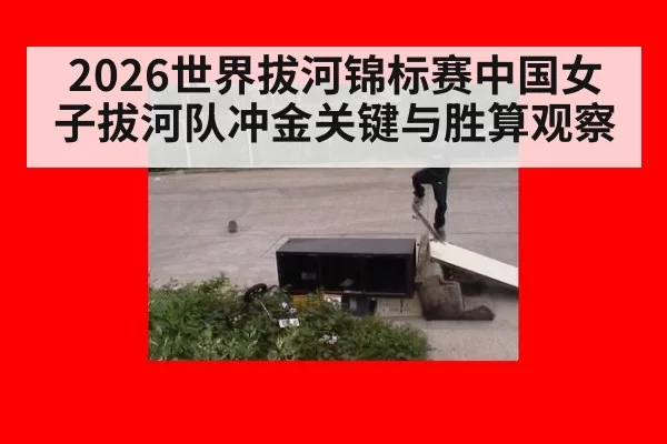2026世界拔河锦标赛中国女子拔河队冲金关键与胜算观察